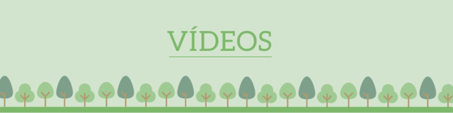 Verde natureza google classroom cabeçalho display